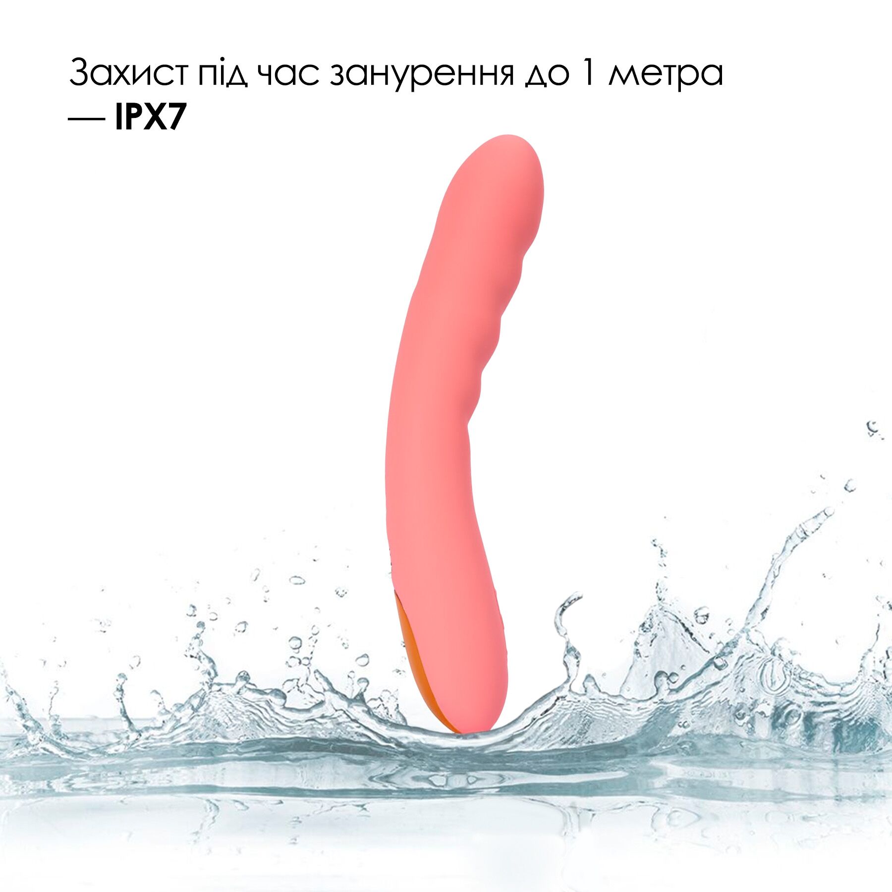 sx1112 13442315920835.jpg sx1112 13442315920835.jpg